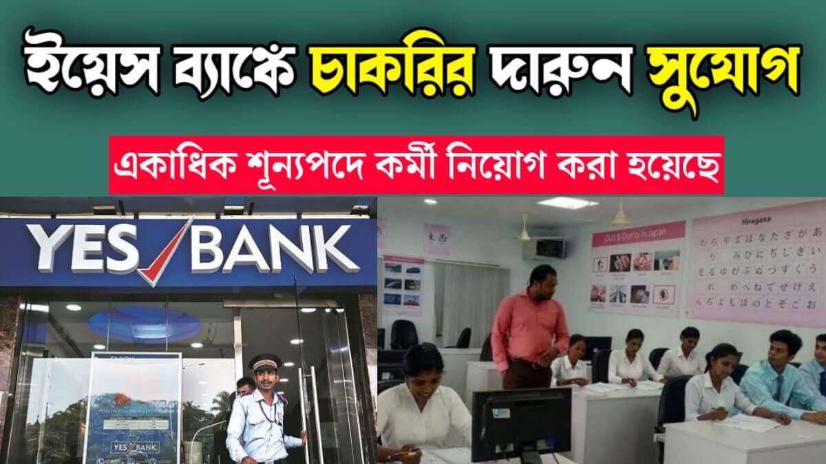 Great Job Opportunity in Yes Bank