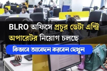 BLRO অফিসে প্রচুর ডেটা এন্ট্রি অপারেটর নিয়োগ চলছে! শীঘ্রই আবেদন করুন