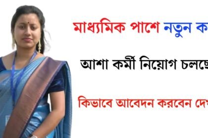 মাধ্যমিক পাশে নতুন করে আশা কর্মী নিয়োগ চলছে! আবেদন পদ্ধতি সহ বিস্তারিত দেখেনিন