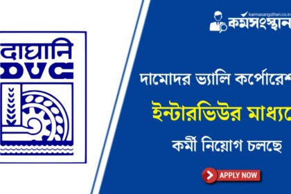 দামোদর ভ্যালি কর্পোরেশনে ইন্টারভিউর মাধ্যমে কর্মী নিয়োগ! দেখুন কিভাবে আবেদন করবেন