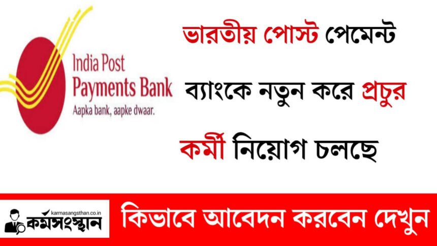 ভারতীয় পোস্ট পেমেন্ট ব্যাংকে নতুন করে কর্মী নিয়োগ চলছে! আবেদন পদ্ধতি সহ বিস্তারিত দেখেনিন