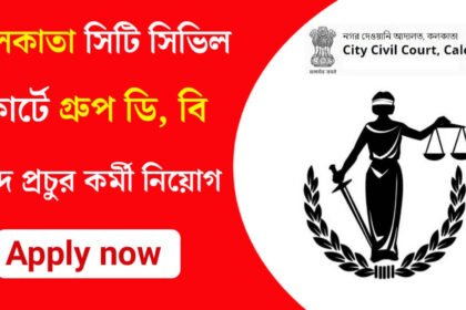 কলকাতা সিটি সিভিল কোর্টে প্রচুর কর্মী নিয়োগ চলছে! কিভাবে আবেদন করবেন দেখুন