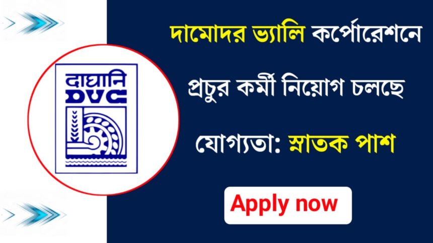 দামোদর ভ্যালি কর্পোরেশনে প্রচুর কর্মী নিয়োগ চলছে! আবেদন পদ্ধতি সহ বিস্তারিত দেখেনিন