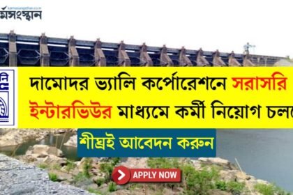 দামোদর ভ্যালি কর্পোরেশনে সরাসরি ইন্টারভিউর মাধ্যমে কর্মী নিয়োগ চলছে, শীঘ্রই আবেদন করুন