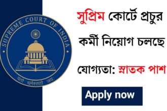 সুপ্রিম কোর্টে নতুন করে কর্মী নিয়োগ চলছে! কিভাবে আবেদন করবেন দেখুন