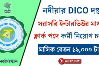 সরাসরি ইন্টারভিউর মাধ্যমে নদীয়ার DICO দপ্তরে ক্লার্ক নিয়োগ চলছে! মাসিক বেতন ১২,০০০ টাকা